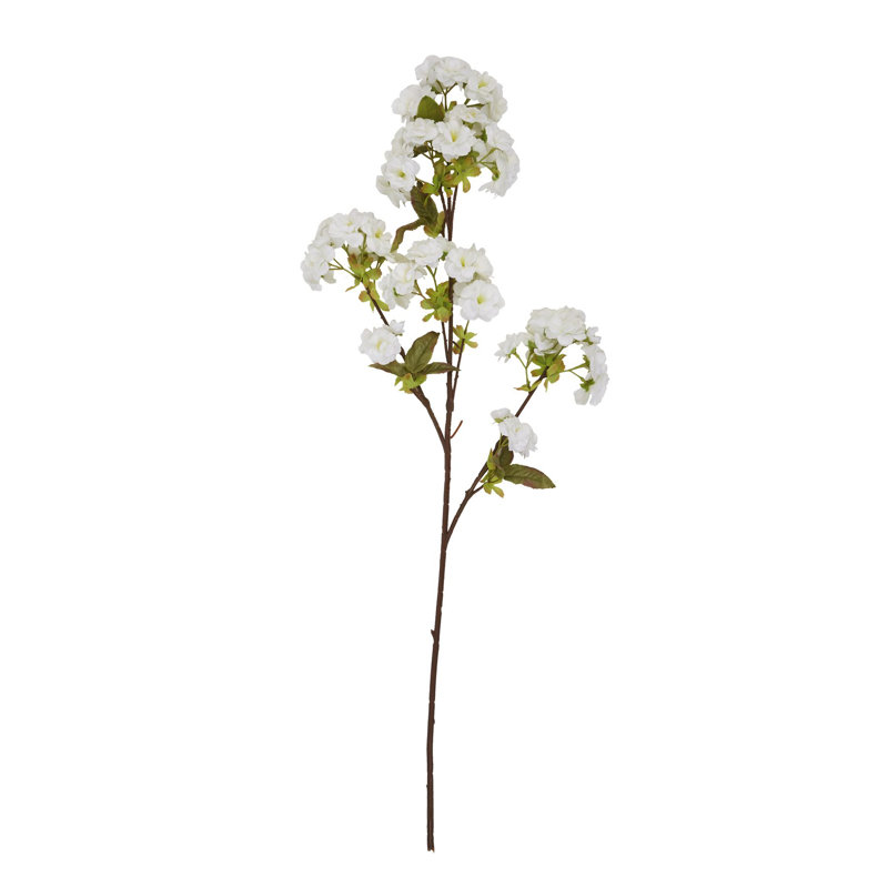 Anastasija Arrangement