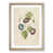 Oak Framed selected