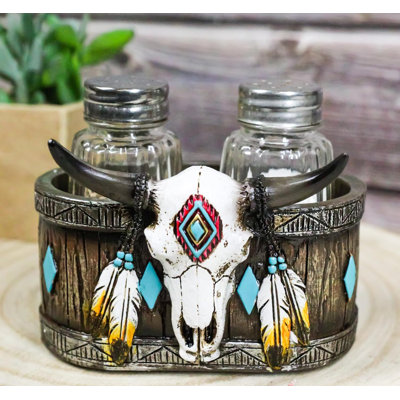 Porte-crâne de bison avec plumes de sel Southwestern Tribal Indian