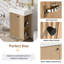 Meuble-lavabo autoportant avec lavabo en céramique - Armoire à grain de bois avec rangement ouvert et fermé