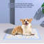 Tapis pour chien (ensemble de 20)
