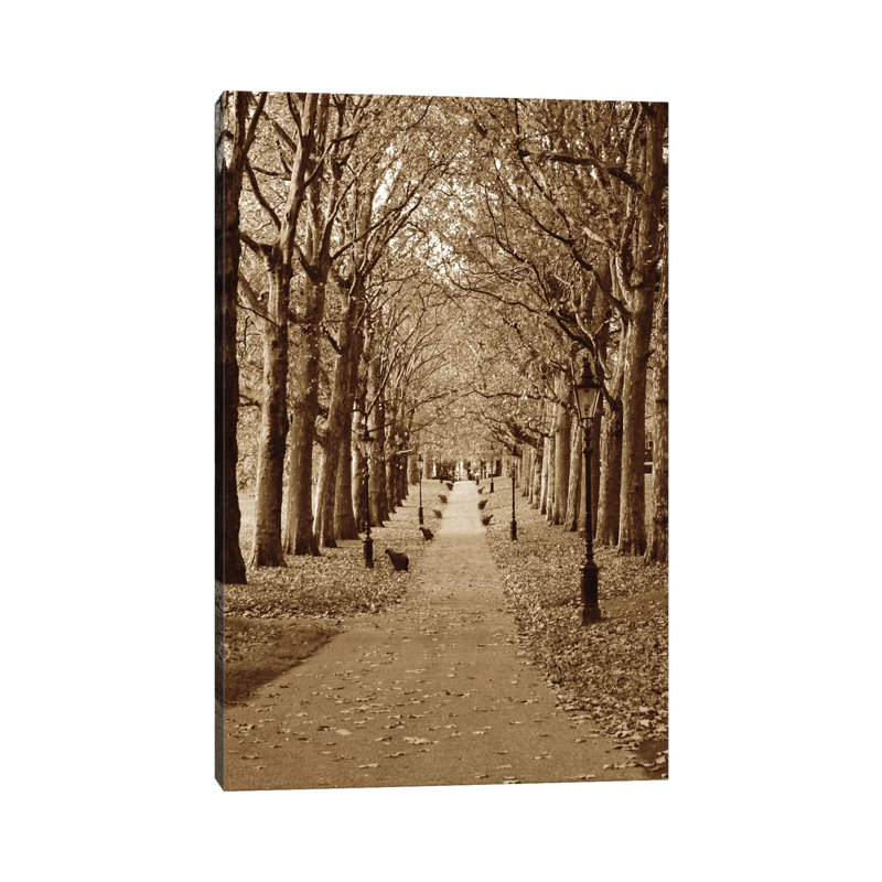 Autumn Stroll II by Boyce Watt - Wrapped Canvas Print, 20.32 cm H x 30.48 cm W