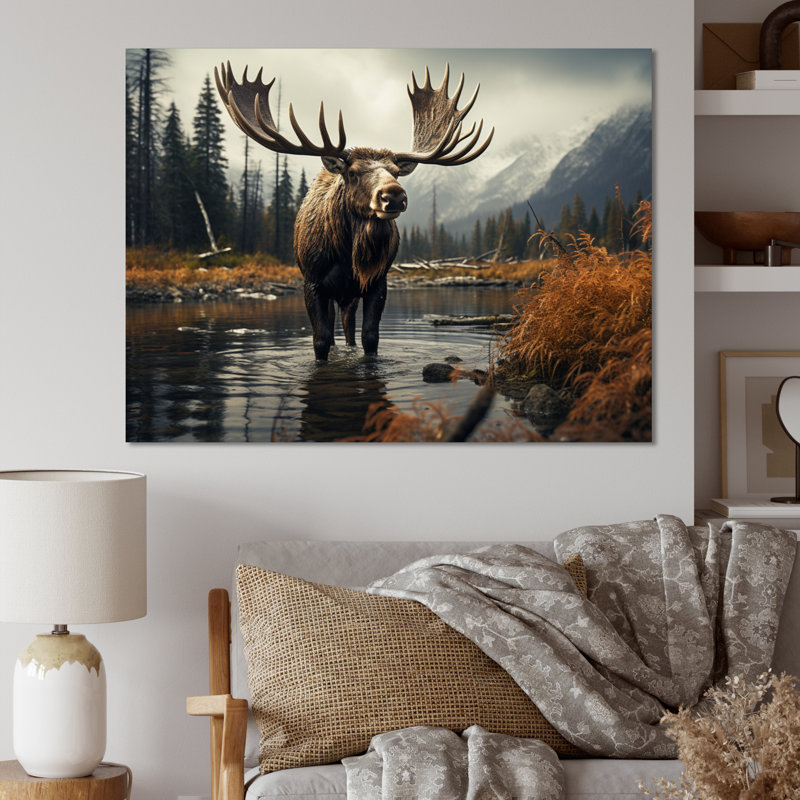 «Canada Majestic Moose I», reproduction sur toile, Cadre photo noir, H 30 po x l 40 po x P 1,5 po