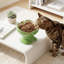 Bol à nourriture pour chat Modern-129257325