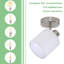 Brynlin Flush Mount