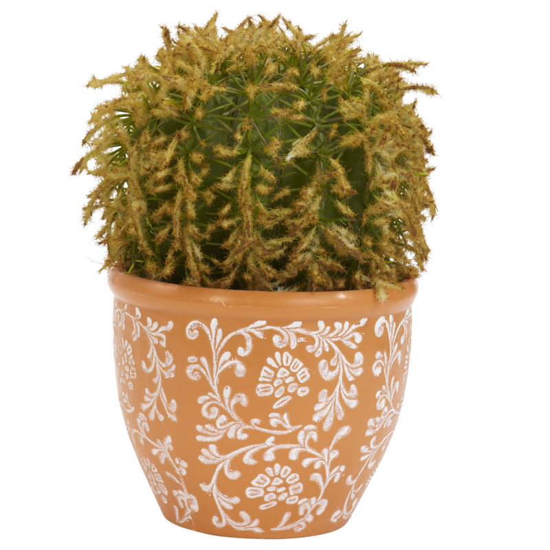9'' Foliage Plant in Ceramic Pot