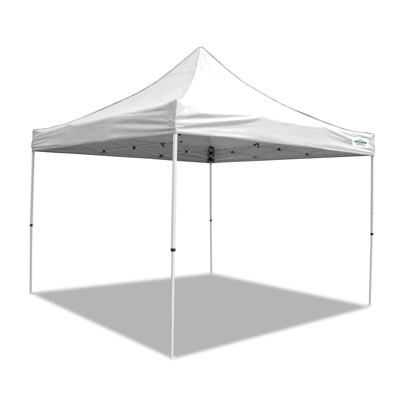 V-Series 10 pi. L 10 pi. D Auvent escamotable en acier