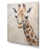 Wrapped Canvas