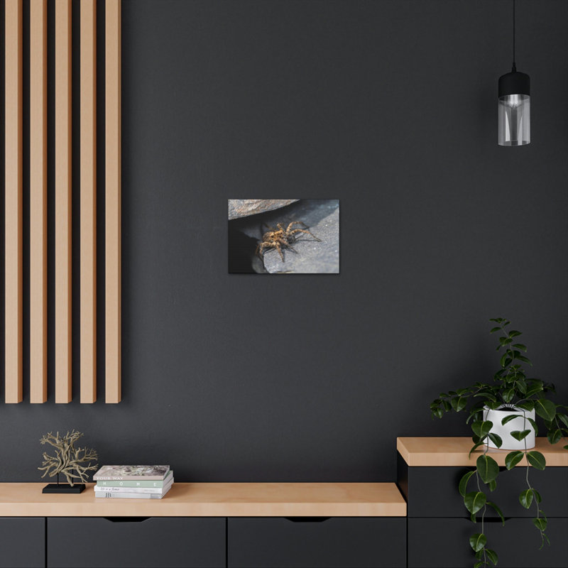 No Frame Print on Canvas, 27.94cm H x 35.56cm W