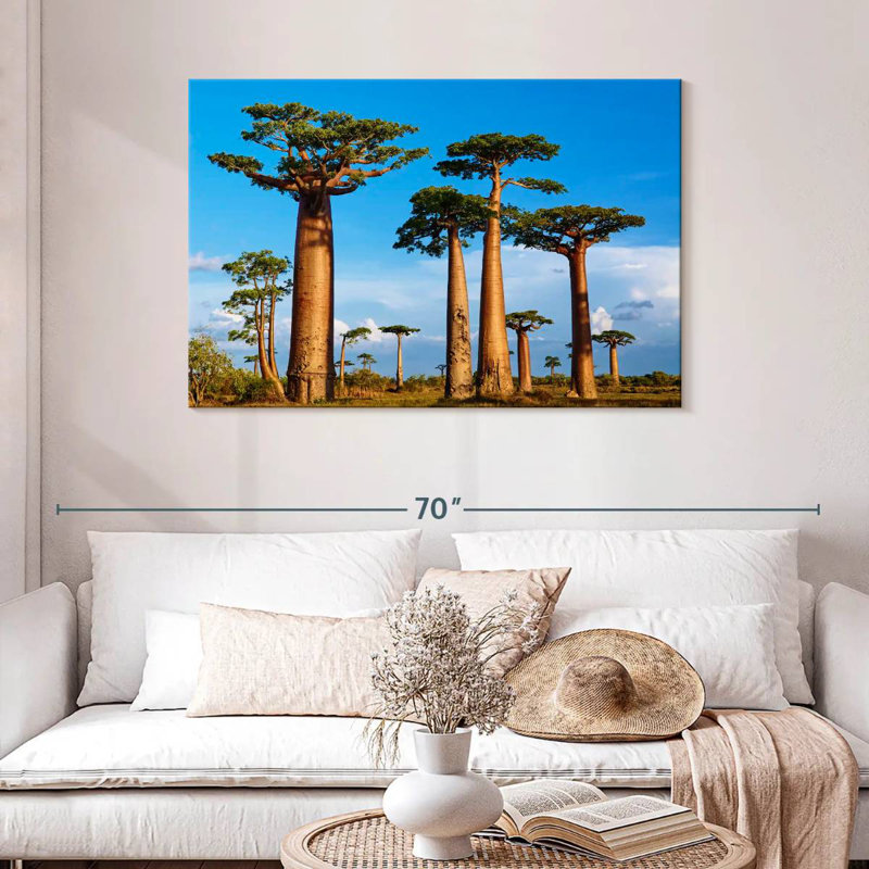 Morondava, forêt de Baobab, H 30 po x l 45 po