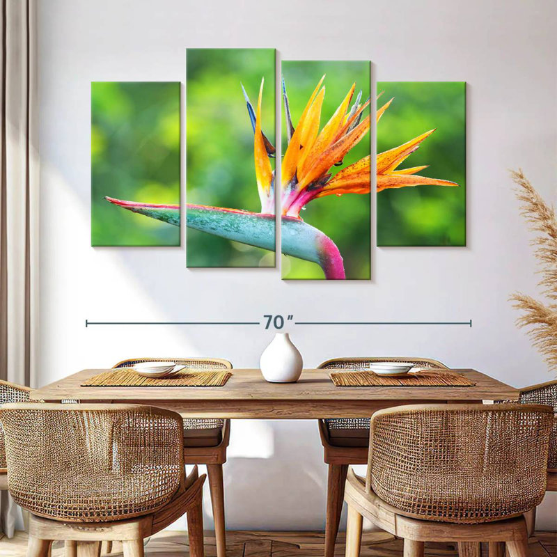 Fleur Harnek, oiseau du paradis