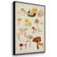 Champignon X-91887170-91887168