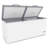 25 Cu.Ft. Double Door Chest Freezer Display Freezer In White With Wheels And Saft Lock