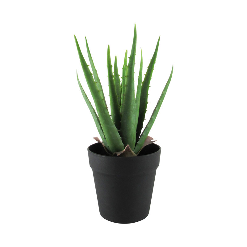 Plante grasse artificielle aloès en pot, H 13,5 po x l 9 po x P 9 po