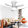 Laurenzo 32'' Blade LED Flush Mount Ceiling Fan with Remote Control and Light Kit Included