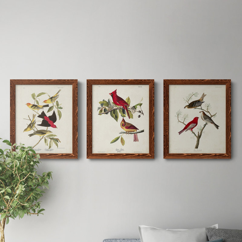 Pl 354 Louisiana Tanager - Ensemble de 3 peintures sur toile encadrées, Érable, H 24 po x l 36 po x P 1,5 po
