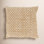 Outdoor Pillow Collection 20" x 20" Pillow Cover