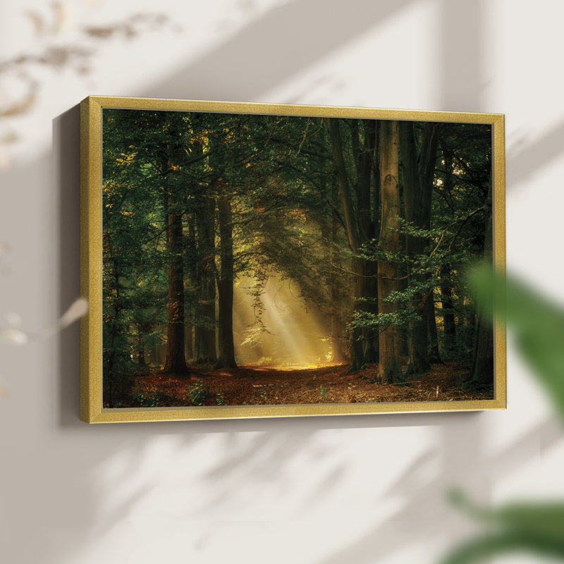 Shine On -Framed Print - Restickable