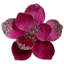 Elegant Glitter Magnolia, Set Of 12 – 4.5 Inches-566384316