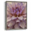 «Soft Flower Petals II», reproduction encadrée - bois massif-792245231