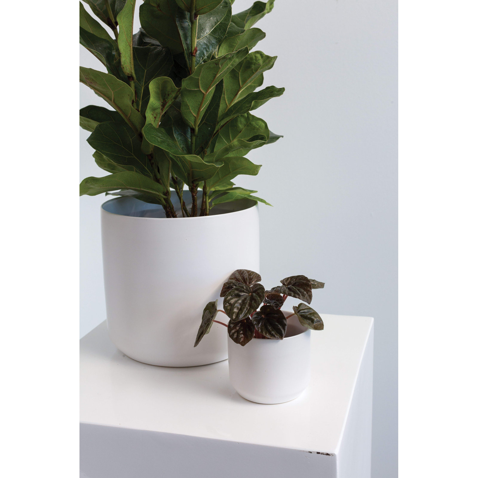 Parsons Ceramic Pot Planter, White, 2.75" H x 3.25" W x 3.25" D