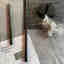 Photos des clients 1 de 3