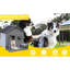 Big Dog House avec construction - et peinture de sécurité fiable