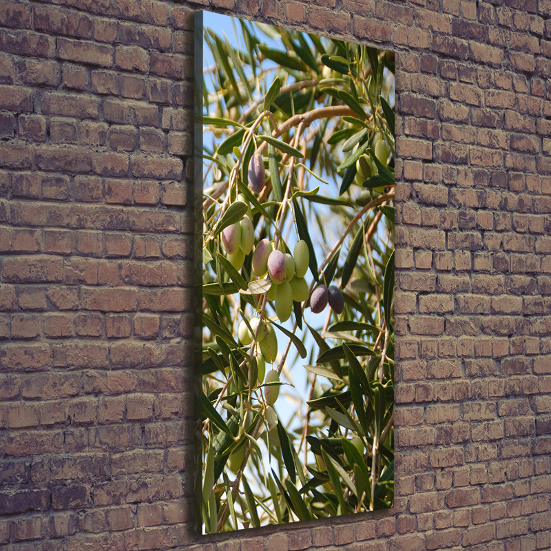 Olives On The Tree - Wrapped Canvas Print