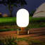 Lampe de bureau 8 po Wint-135239835