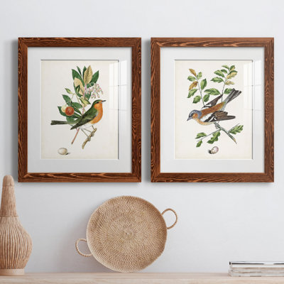 " Antique Bird, Botanical And Egg I " 2 - Pieces Painting Print
