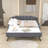 Tania Upholstered Daybed