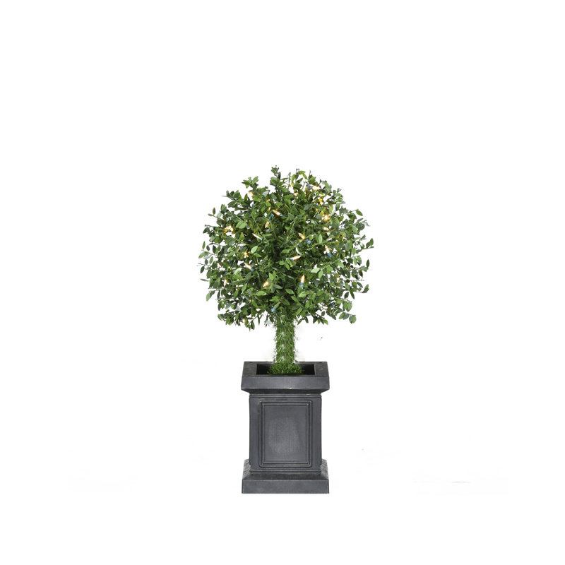 2-ft Boxwood Ball Topiary with Black Metal Pot and Warm White LED Lights