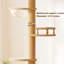 Arbre à chat Modern Modern