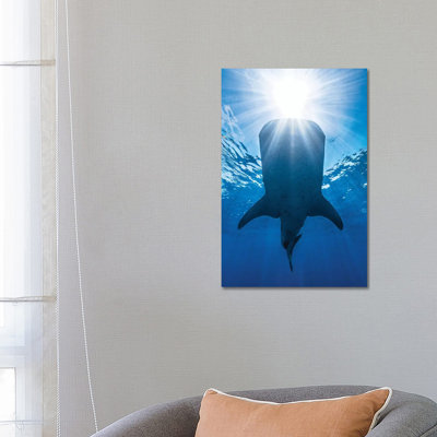 Whale Shark AndSun by Barathieu Gabriel - Wrapped Canvas Print