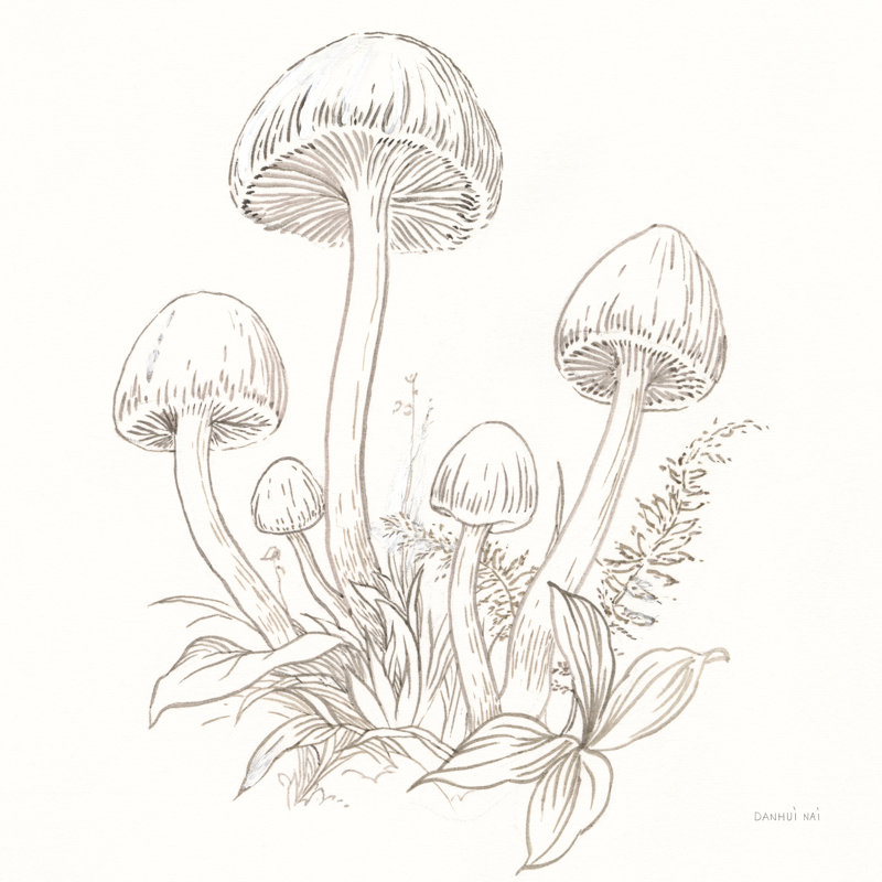 Nature Sketchbook IX by Danhui Nai - Wrapped Canvas Print, 91cm H x 61cm W x 3.8cm D