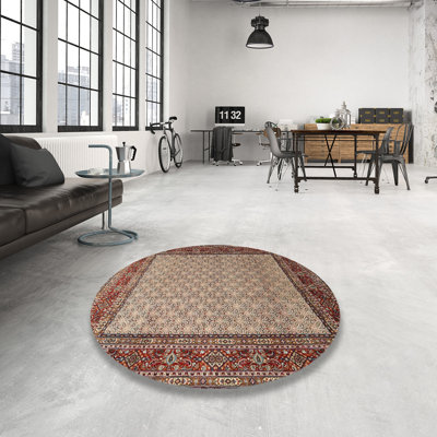 Derk Oriental Indoor Rug