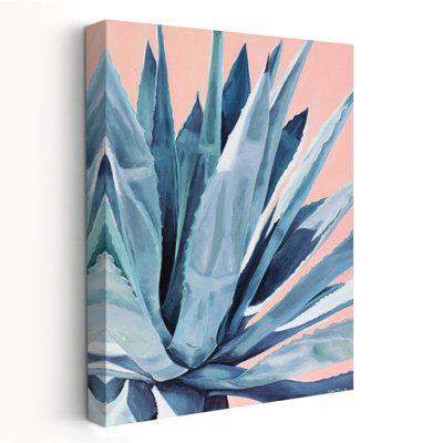Agave avec corail