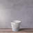 Carreras Planter-511374857-511374854