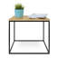 Linkous Frame End Table-22047079-22047078