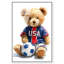 «Soccer Red Blue Teddy», reproduction sur toile encadrée par Art Remedy, cadre noir, 10 x 15-1929505881-1929505888