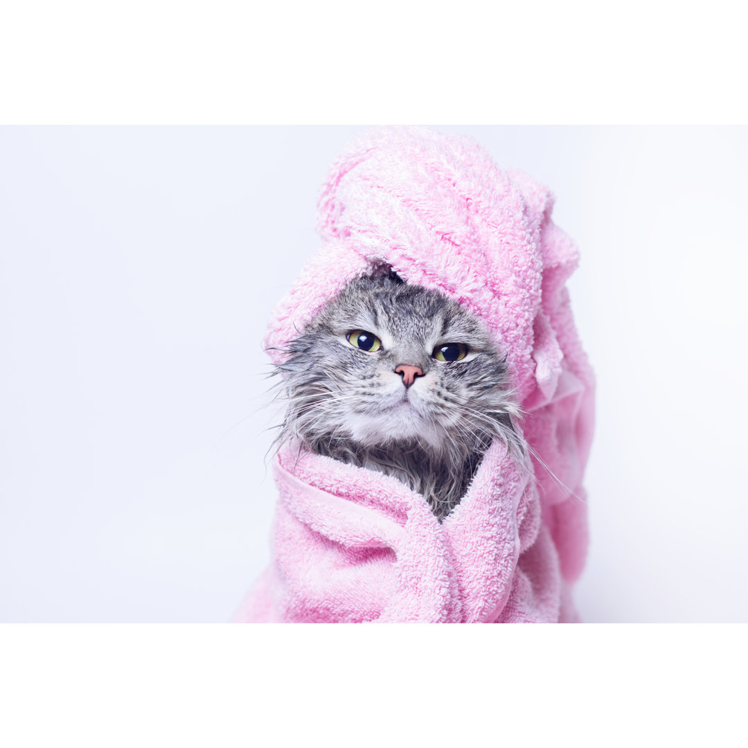 Fotografie auf Leinwand Funny Smiling Wet Grey Tabby Cute Kitten After Bath in Pink Towel with Beautiful Eyes von Dmitry...