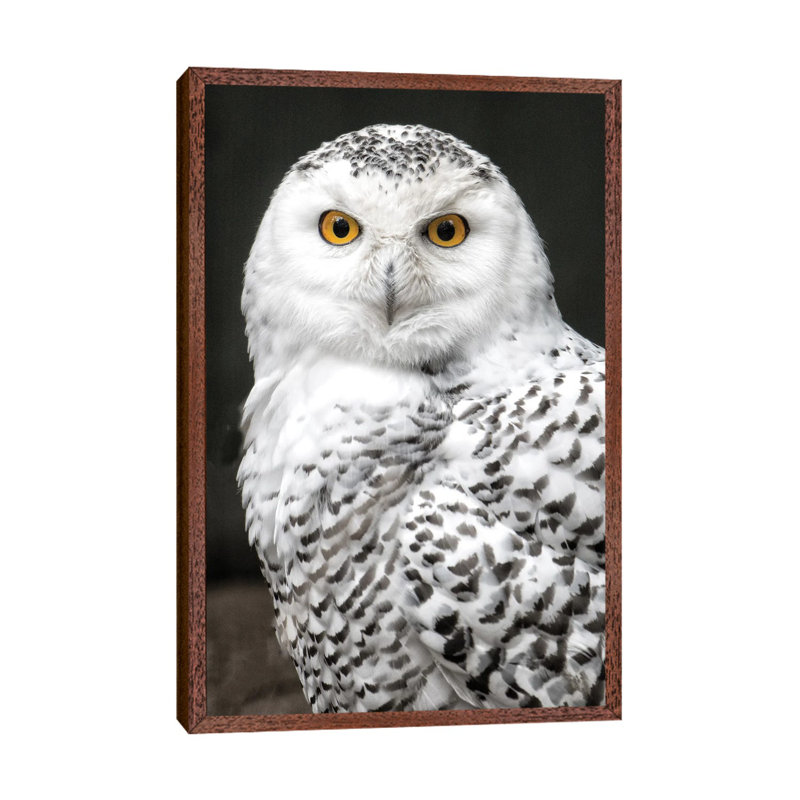 Snowey 1 Piece Wall Art on Canvas, 66.04 cm H x 45.72 cm W, Brown Framed