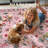 Goldene Animal and Insect Washable Floor Mat - Non-Slip Area Rug-453115942