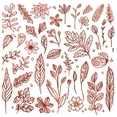 Coussins décoratifs Botanical Leaf