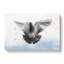 Flying Pigeon in Abstract - Wrapped Canvas-55315023