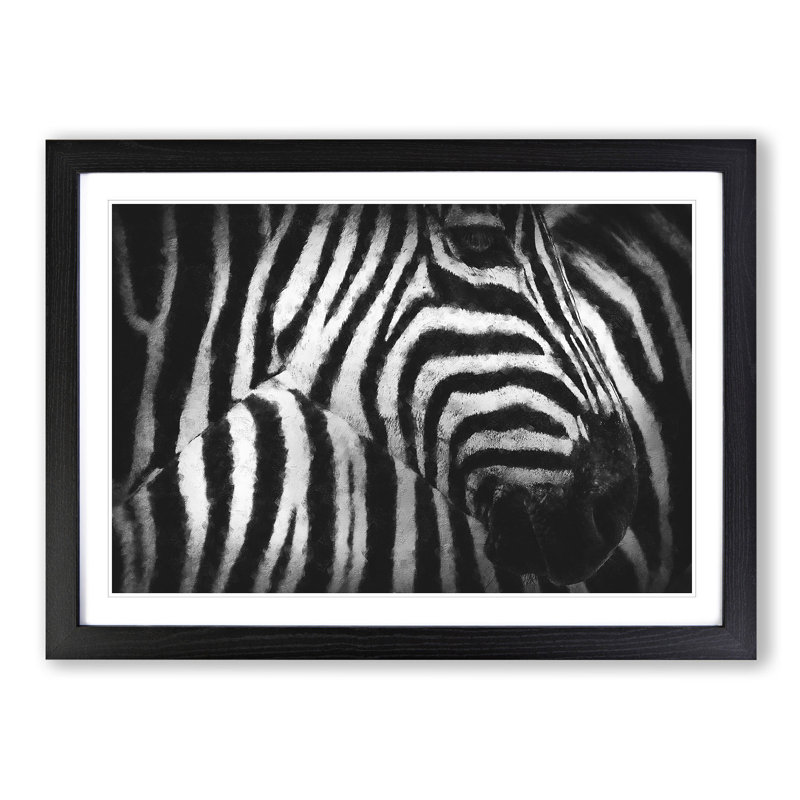 Stripes of the Zebras - Picture Frame Graphic Art, 24cm H x 33cm W x 2cm D, Black Framed