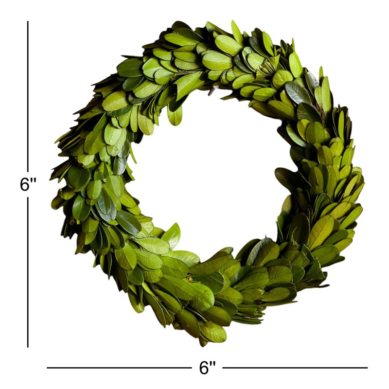 Preserved Boxwood 6" Greenery Wreath