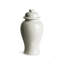 Ricki Handcrafted Ginger Jar-1488949449-1513130398