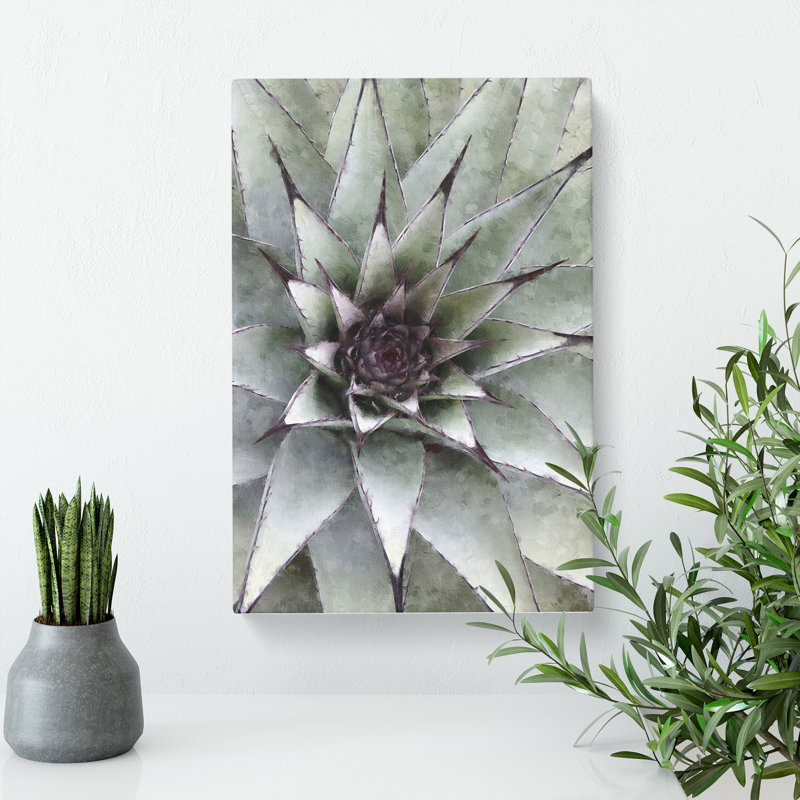 The Succulent Plant - Wrapped Canvas Painting, 50cm H x 35cm W x 3cm D