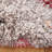 Morocco Performance Southwestern Rug-1154052798